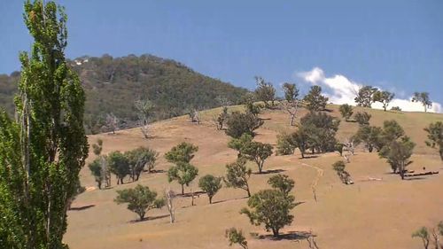 She walked 1.2 kilometres up a hill, along a dirt track and spent the night sleeping in a sheep paddock. (9NEWS)