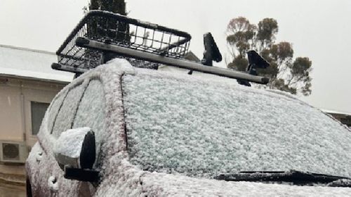 Snow falling in the South Australian town of Peterborough this morning.