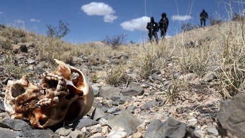 Over 100 bodies found in secret Mexican graves