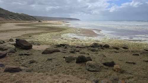 A multi-agency investigation is underway after masses of yellow foam washed up on a popular South Australian beach, leaving surfers feeling sick and infected. ﻿