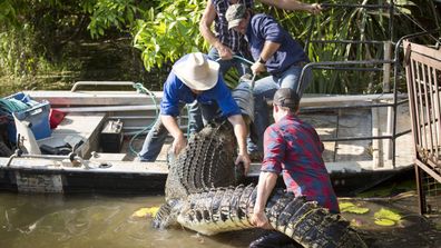 Monster Croc Wrangler: Matt Wright reveals his closest calls on the job -  