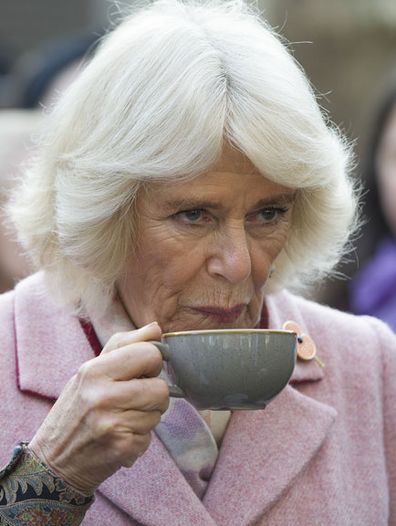 Duchess of Cornwall cancels engagement chest infection 3