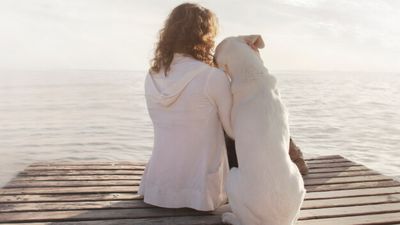 What is your dog's love language?