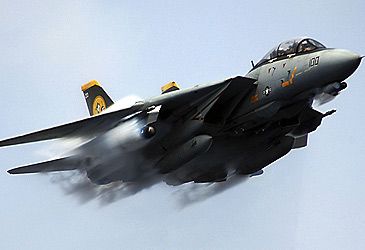 What is the official nickname of the Grumman F-14?