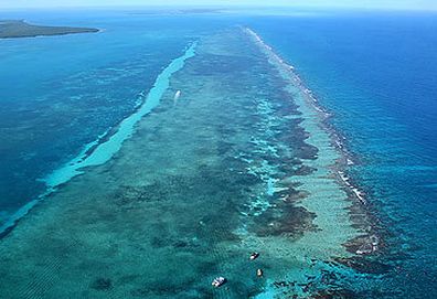 Second largest coral reef (Getty)