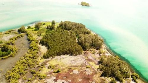 Coon Island and Coon Island Point will be renamed after a council vote.