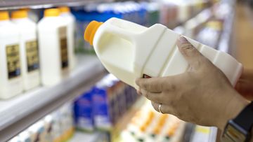 Close up of a man&#x27;s hand picking up a bottle of organic fresh milk from the dairy aisle in supermarket. Healthy eating lifestyle and routine.