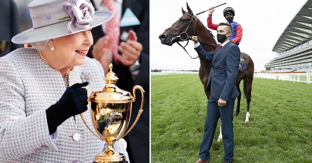 Queen Elizabeth's horse Tactical wins at Royal Ascot 9Honey