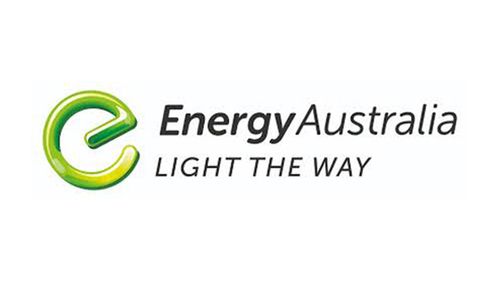 More than 300 EnergyAustralia customers have had their details leaked in a cyber attack.