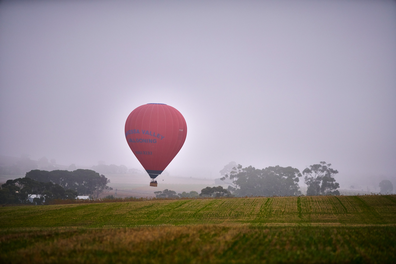 South Australia ballooning in the Barossa Valley