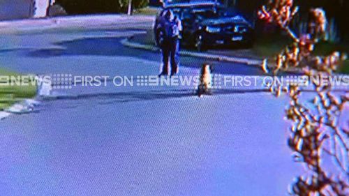 Biggie can be seen walking near the officer. (9NEWS)