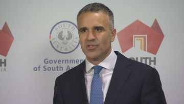 The South Australian Premier has announced a world-leading new set of laws that aim to ban donations to political parties, from organisations and individuals. Peter Malinauskas today acknowledged that the changes may not be universally popular within his party, but said election campaigning had become &quot;a playground for the rich&quot;.