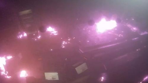 Teenager arrested over fire bitten by police dog in Melbourne