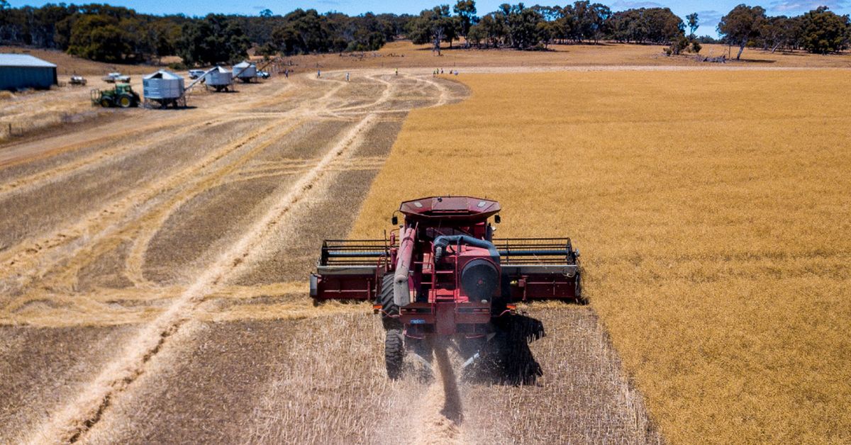 Farmers forecast to earn record $66 billion despite trade tensions, pandemic - 9News