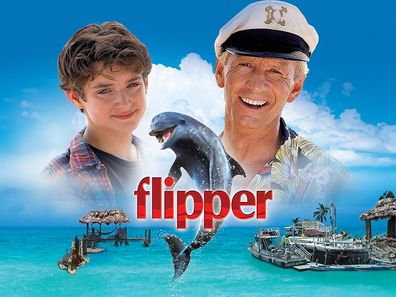 Poster for the 1996 movie Flipper