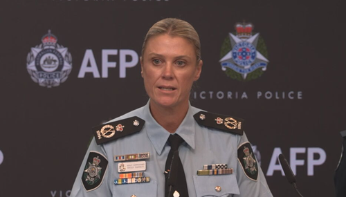 ﻿AFP Deputy Commissioner National Security Krissy Barrett today revealed a global investigation was underway to track the criminals responsible for ordering the arson attack.