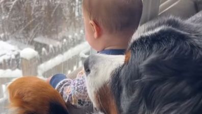 Bernese dog shares special bond with baby sister. 