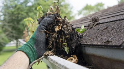 Cleaning gutters during the summer time.