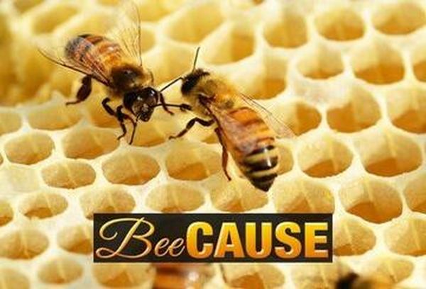 Bee Cause