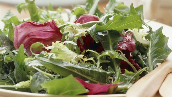 Bitter lettuce salad