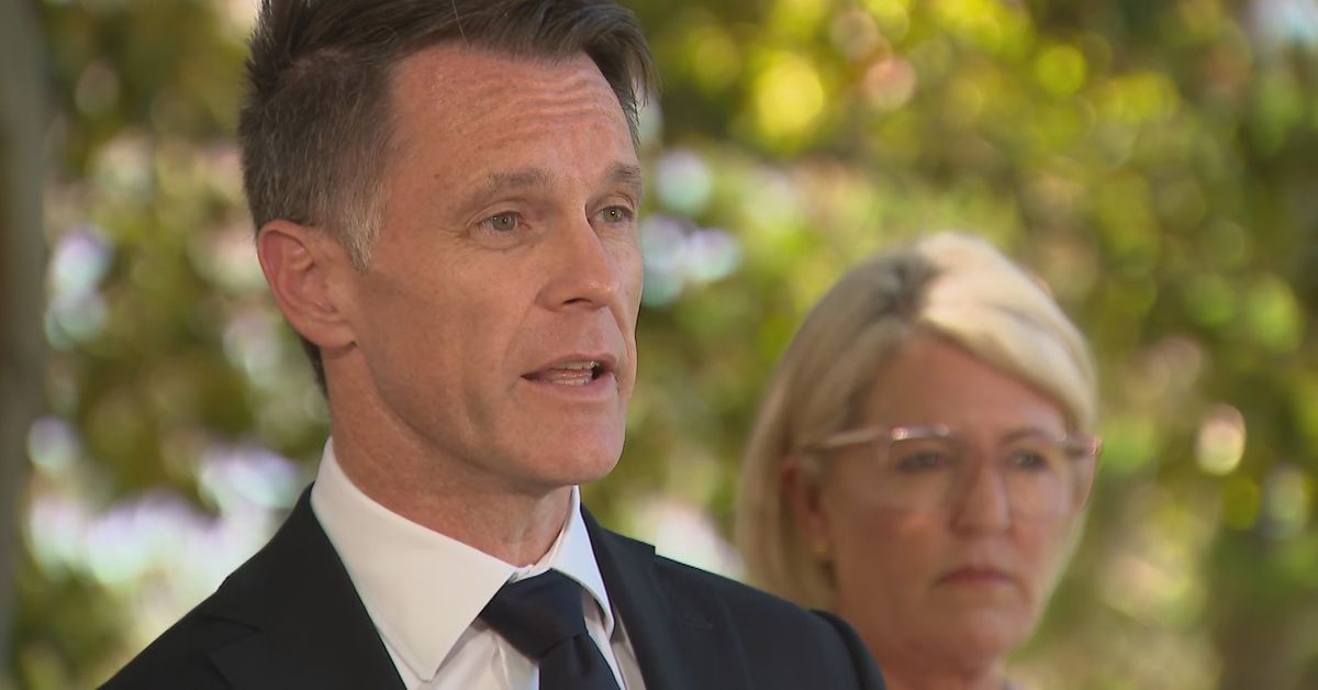 NSW expected to pass gun and hate speech laws as Premier shakes off High Court challenge