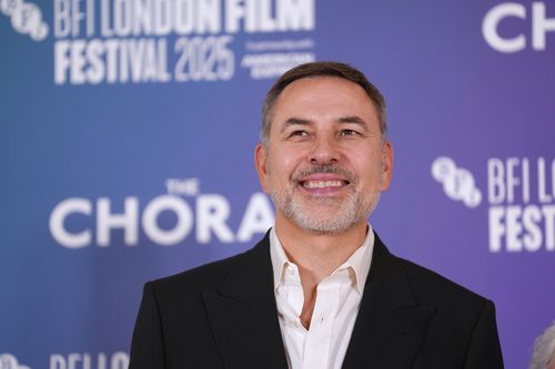 David Walliams 