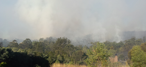 Homes threatened in Queensland bushfire