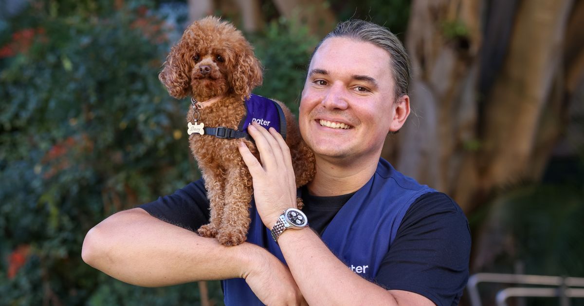 Pregnancy How a teacup poodle is helping pregnant women in this Aussie