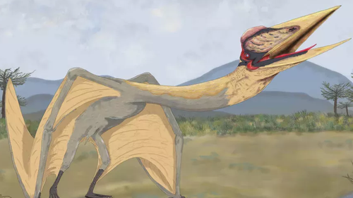 An artist's representation of Thanatosdrakon amaru.