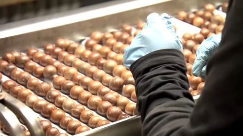 Henri Bader wakes up at 6am every day to tend to his Northern New South Wales crop of 25,000 macadamia trees.