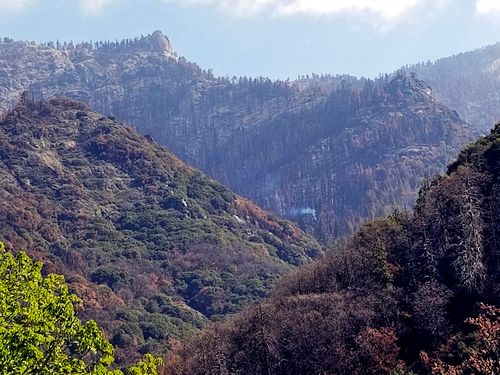 A giant sequoia has been found smoldering and smoking in an area of Sequoia National Park burned by one of the huge wildfires that scorched California last year.