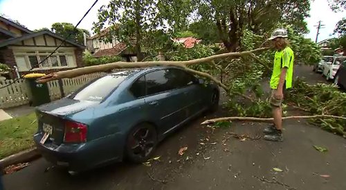 Wild weather brought trees and power lines down earlier this week, with thousands of homes and businesses still without electricity. 
