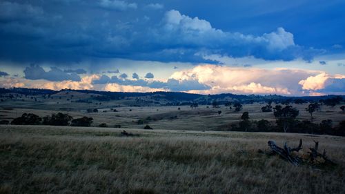 The town of Armidale in New South Wales has the worst air quality in Australia, according to a new international report.