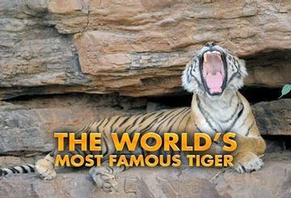 The World's Most Famous Tiger