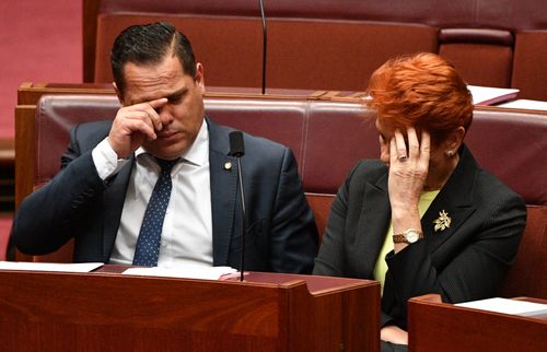 One Nation Leader Pauline Hanson and Senator Peter Georgiou didn't appear to take the latest news well in the Senate chamber this morning. Picture: AAP