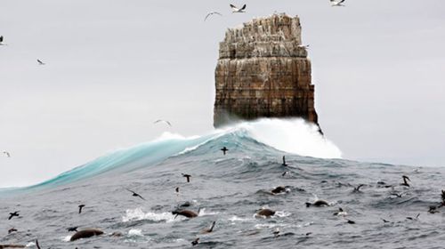 Aussie big wave photographer had no idea of international acclaim