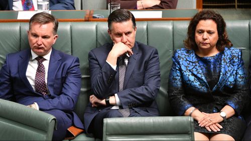 Shadow ministers Chris Bowen, Mark Butler and Michelle Rowland listen.