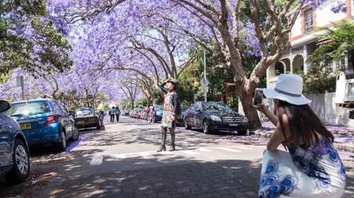 Residents fear someone will get hurt. (Getty)