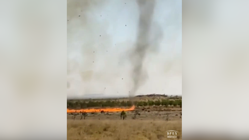 "Firenado" filmed tearing through the Western Australian bush.