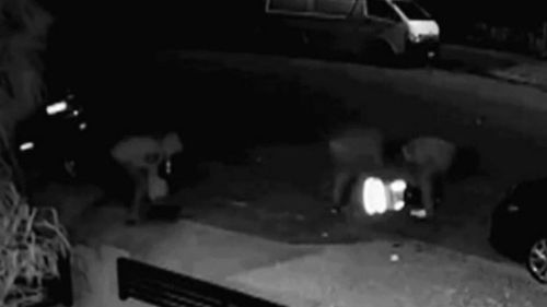 CCTV footage shows the 26-year-old delivery driver being kicked and punched whilst on the ground. (NSW police)