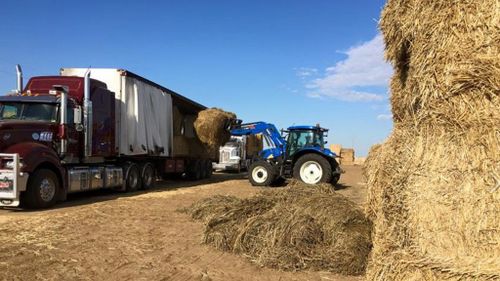 A tractor loads one of the trucks. (Facebook)