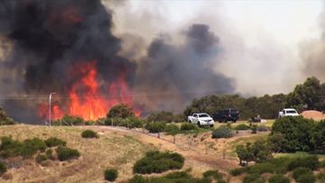 Bushfires on South Australia&#x27;s Eyre Peninsula have challenged firefighters today, with an unknown number of homes and businesses confirmed lost.
