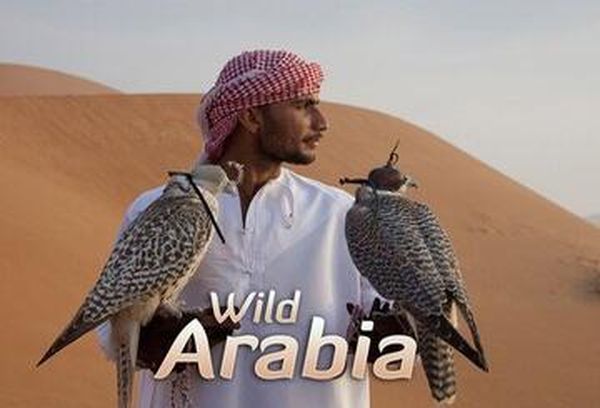 Wild Arabia