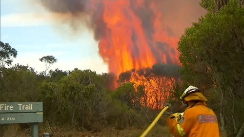 A blaze has burnt over 236 hectares of land at the Royal National Park in Bundeena. (9NEWS)