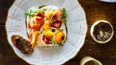 <strong>Sun Princess Share by Curtis Stone - tomato, burrata and arugula</strong>