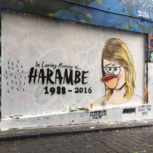 Street artist Lushsux paid tribute to the late Harambe in a Melbourne mural. 