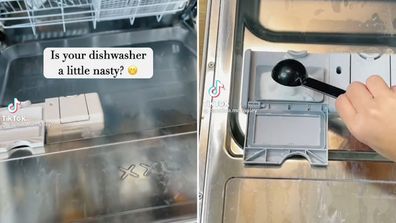 How to get your dishwasher sparkling TikTok hack