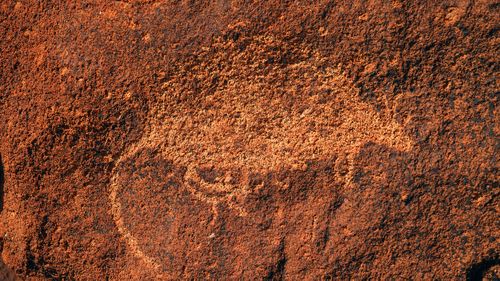 Animals etched in stone. Ancient aboriginal rock art site of Deep Gorge, Burrup Peninsula, Pilbara region, in Western Australia.