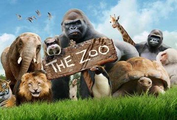 The Zoo