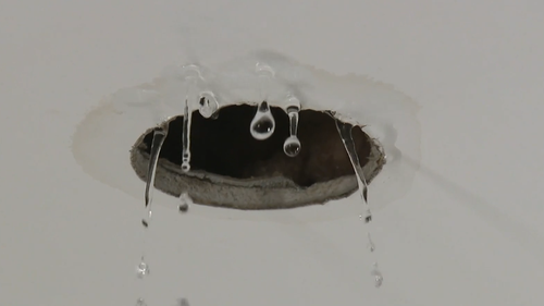 Nicheliving customer home leak
